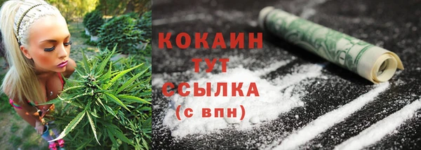 спайс Богородицк