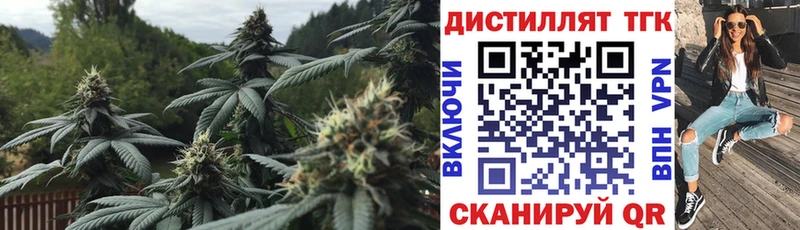 ТГК THC oil  Купить где  Прохладный 