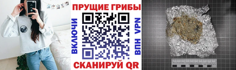 Купить закладки  Прохладный  Псилоцибиновые грибы Psilocybe 